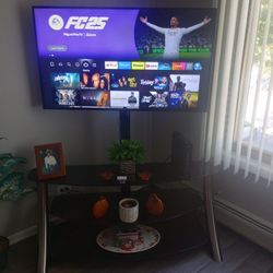 43 INCH VISIO AND STAND