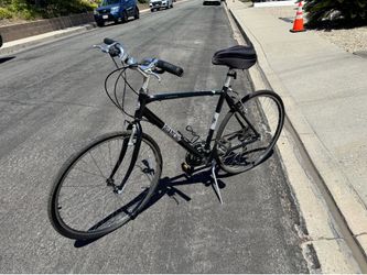 Bianchi Cortina Bike in Black