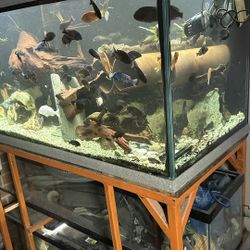 aquarium Fish Tank 120 Gallons Reef  