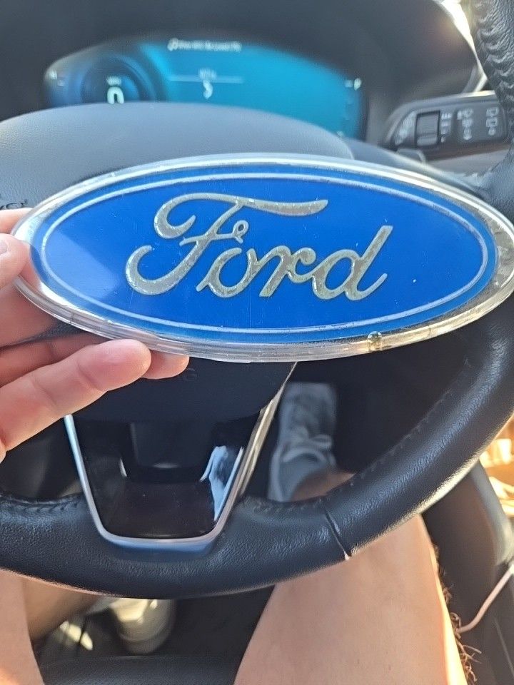 Vintage Ford logo Plate