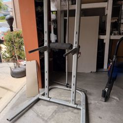 BowFlex Body Tower 