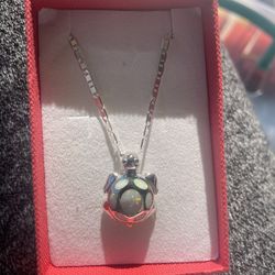 Turtle Necklace , Silver