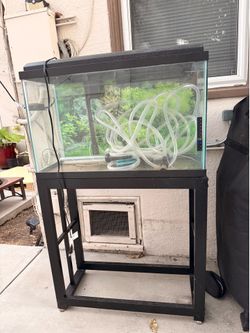 Fish aquarium with stand