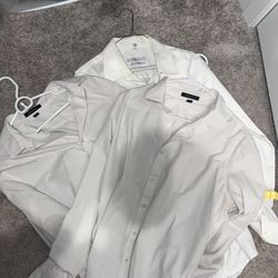 White Collared Shirts 