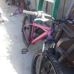 Bike Trek