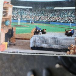 Play Ball Mural  BASEBALL