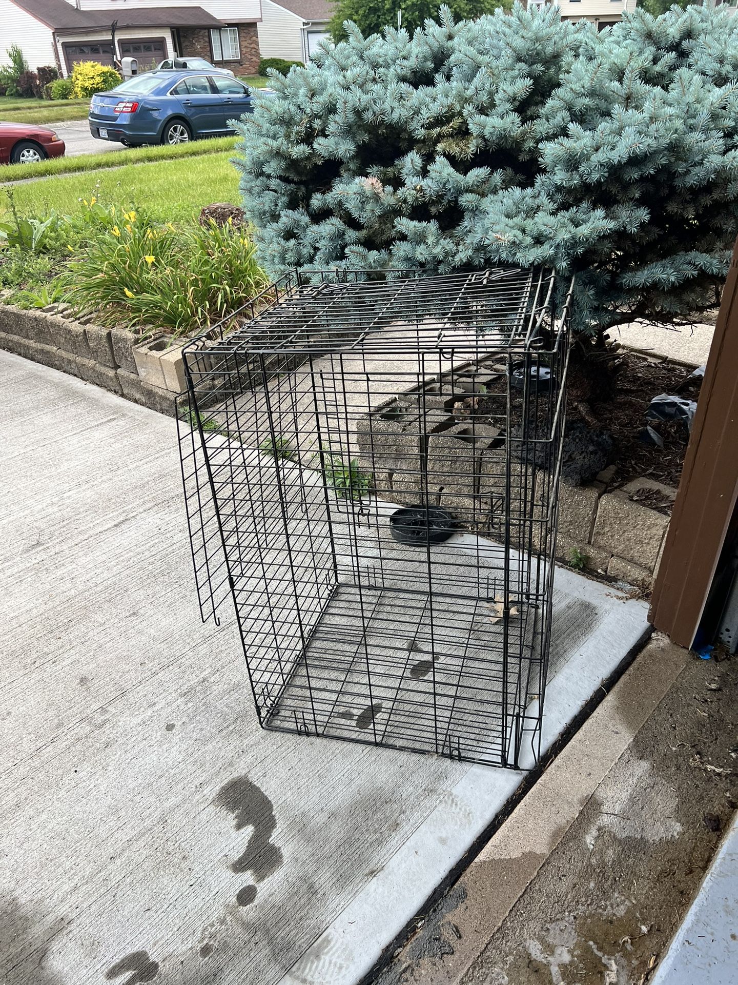 Dog Cage -USED