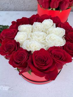 Valentine Day Special