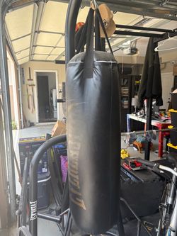 Everlast Heavy Punching Bag with Stand