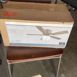 Ceiling Light/fan