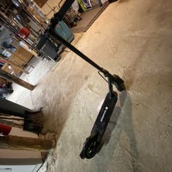 Electric Scooters