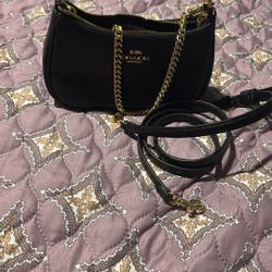 Coach Teri Mini Crossbody Bag