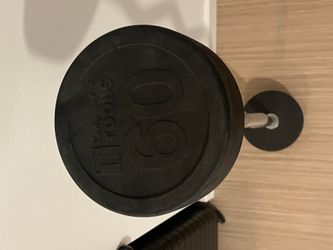 60 Pound Body-Solid Fixed Weight Curl Barbell