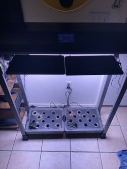 Aero Garden Farm 24XL