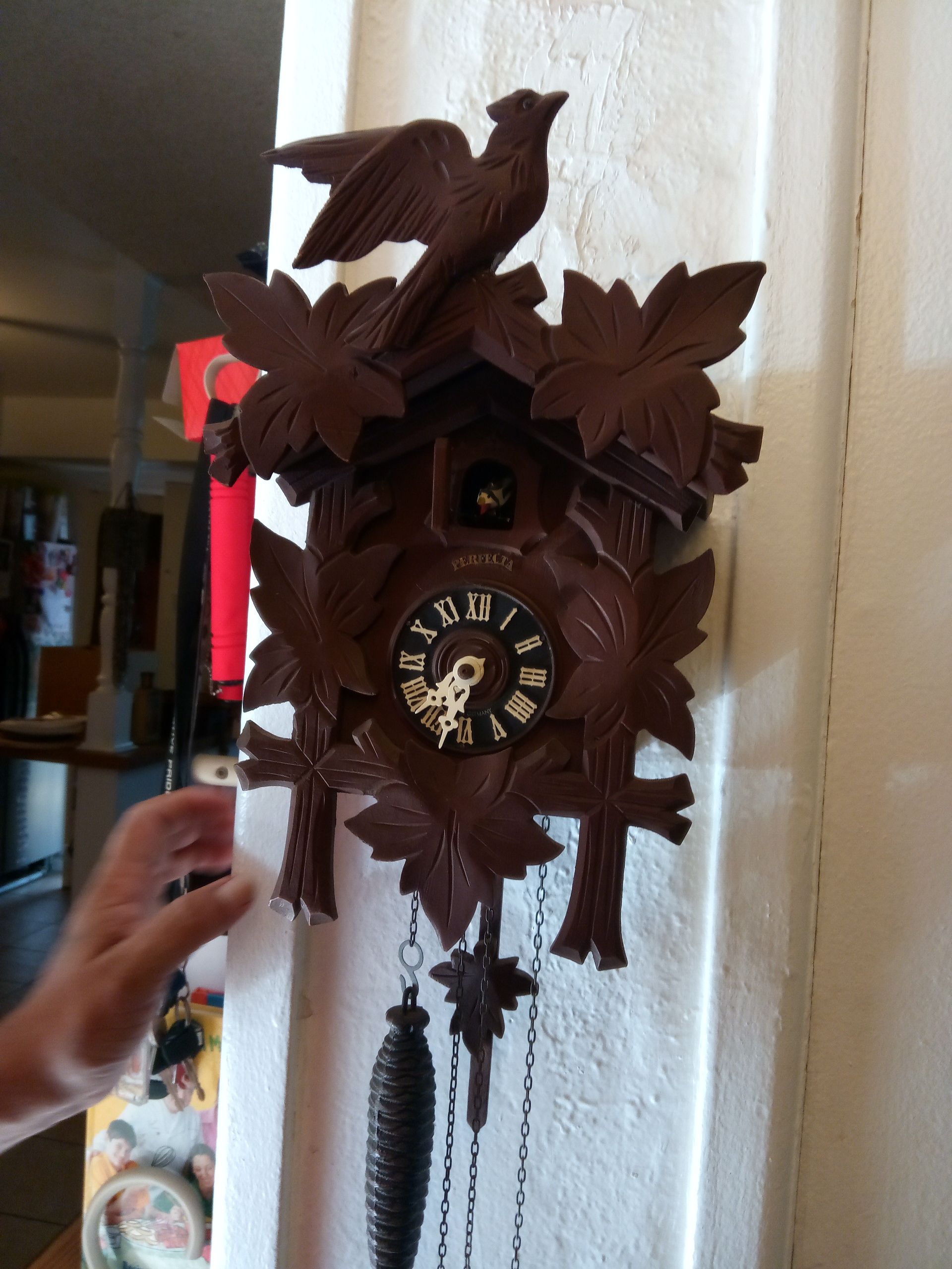 Coocoo Clock