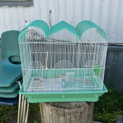 Bird Cage 