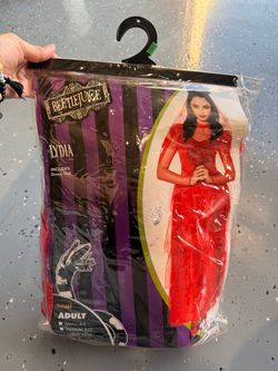 Beetlejuice Lydia Adult Halloween Costume