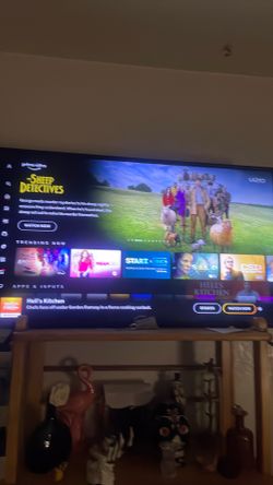 Vizio