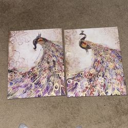 Peacock Painting Set