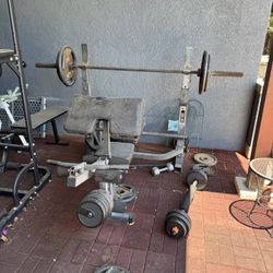 Weight Bench, Pull Up Bar/Bench