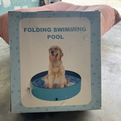 Dog Pool 