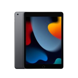 Apple - 10.2-Inch iPad (9th Generation) with Wi-Fi - 256GB - Space Gray