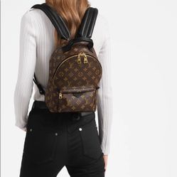 Louis Vuitton palm spring monogram pm 
