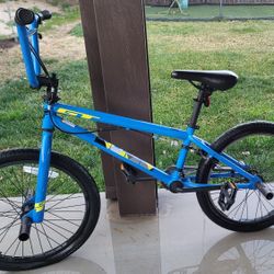Gt Bank BMX Bike 