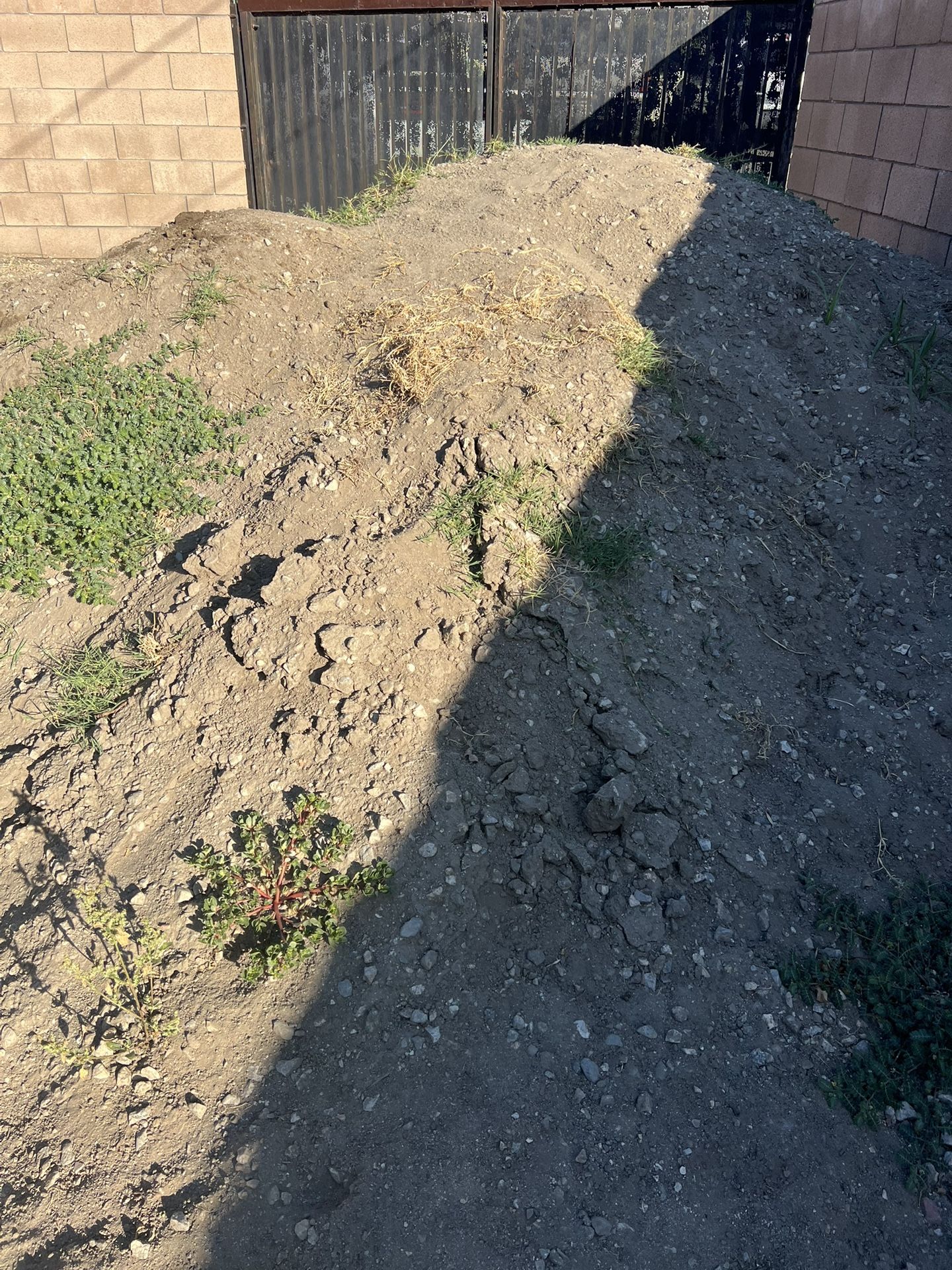 FREE Dirt