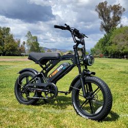 Burning Man Fat Tires Electric Bike 2 Seater