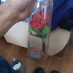 Treat Rose To Your With Base