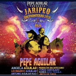 Pepe Aguilar Concert 1 Seat Sec 103 Row R Seat 22