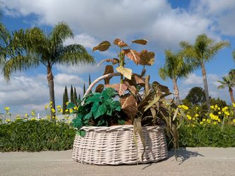 Beautiful GIANT BASKET With Artificial Plant