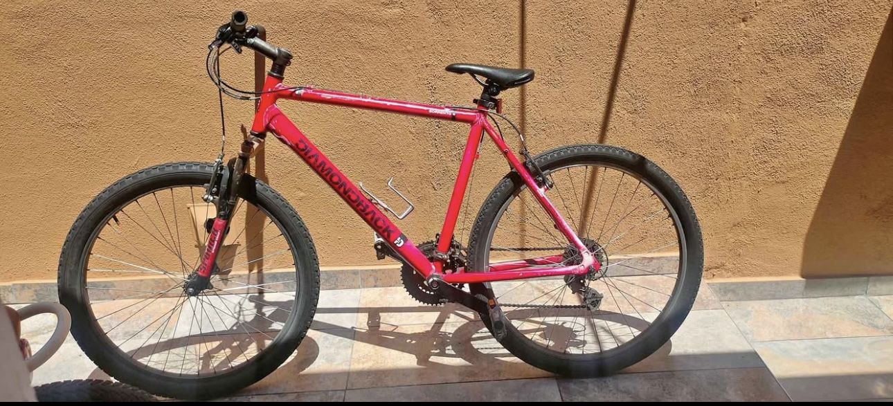 Diamondback Mountain Bike