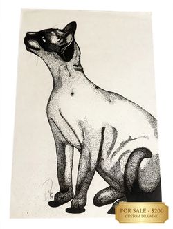 Siamese cat drawing