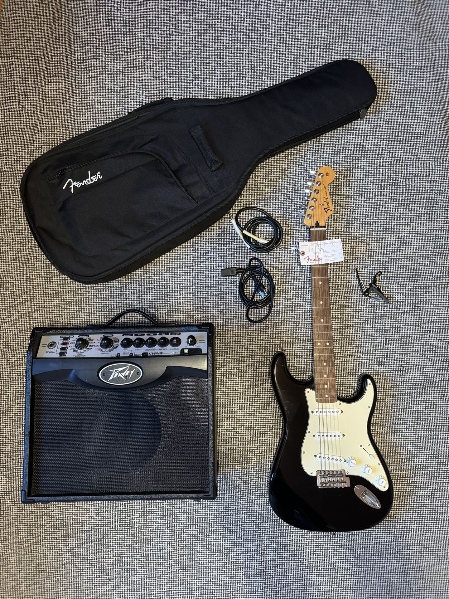 Fender Stratocaster & Peavey Vypyr VIP-1 Amp