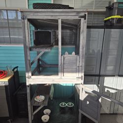 Catio - Multiple Cats