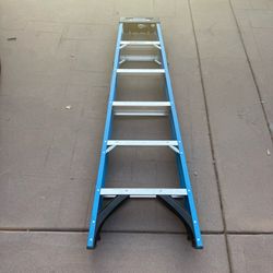 Werner 6ft Ladder