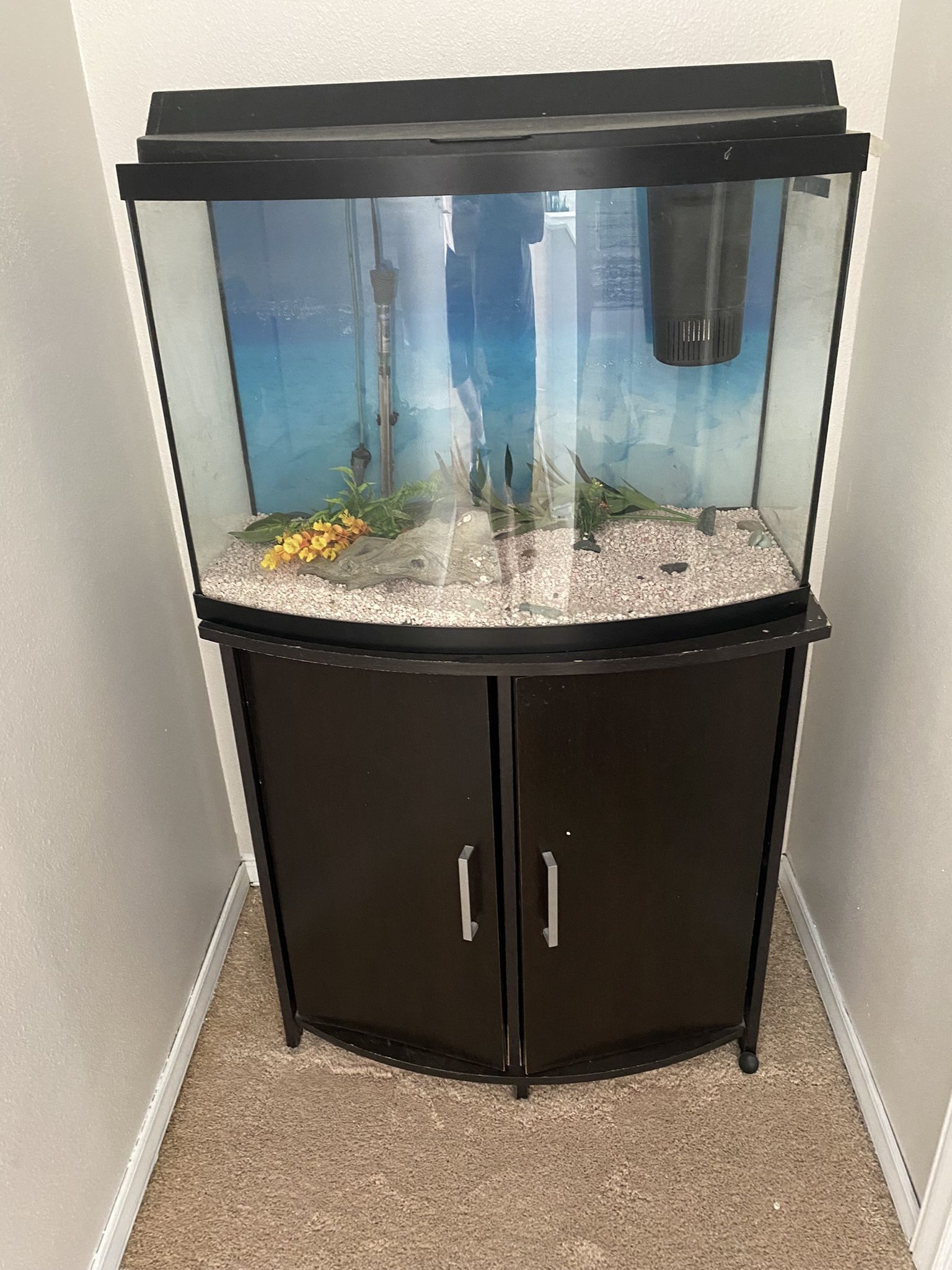 Fish Tank 50 Gallon (not Cabinet)