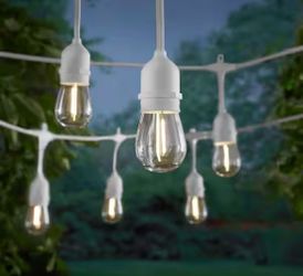 12-Light 24 ft. Indoor/Outdoor Plug-In Edison Bulb String Light with S14 Single Filament LED Bulbs in White Cord