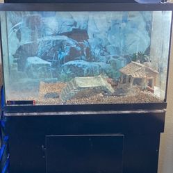Fish Tank With Stand