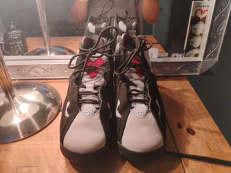 Air Jordan True Flights