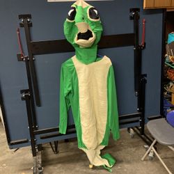 Adult Costume