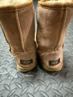 Uggs Used 