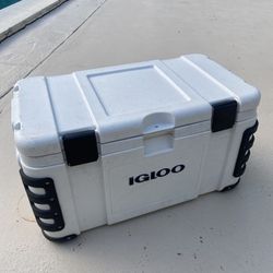Amazing 70 Qt Igloo Cooler “yeti Type” 