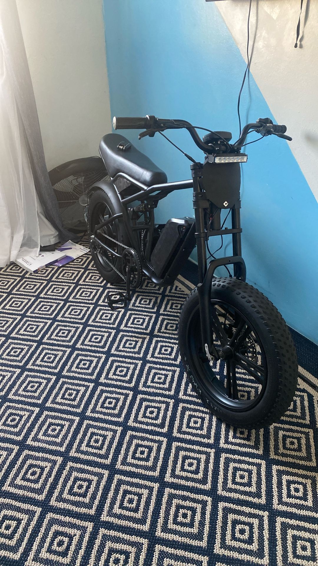 Fat Tire E-bike Check Description 