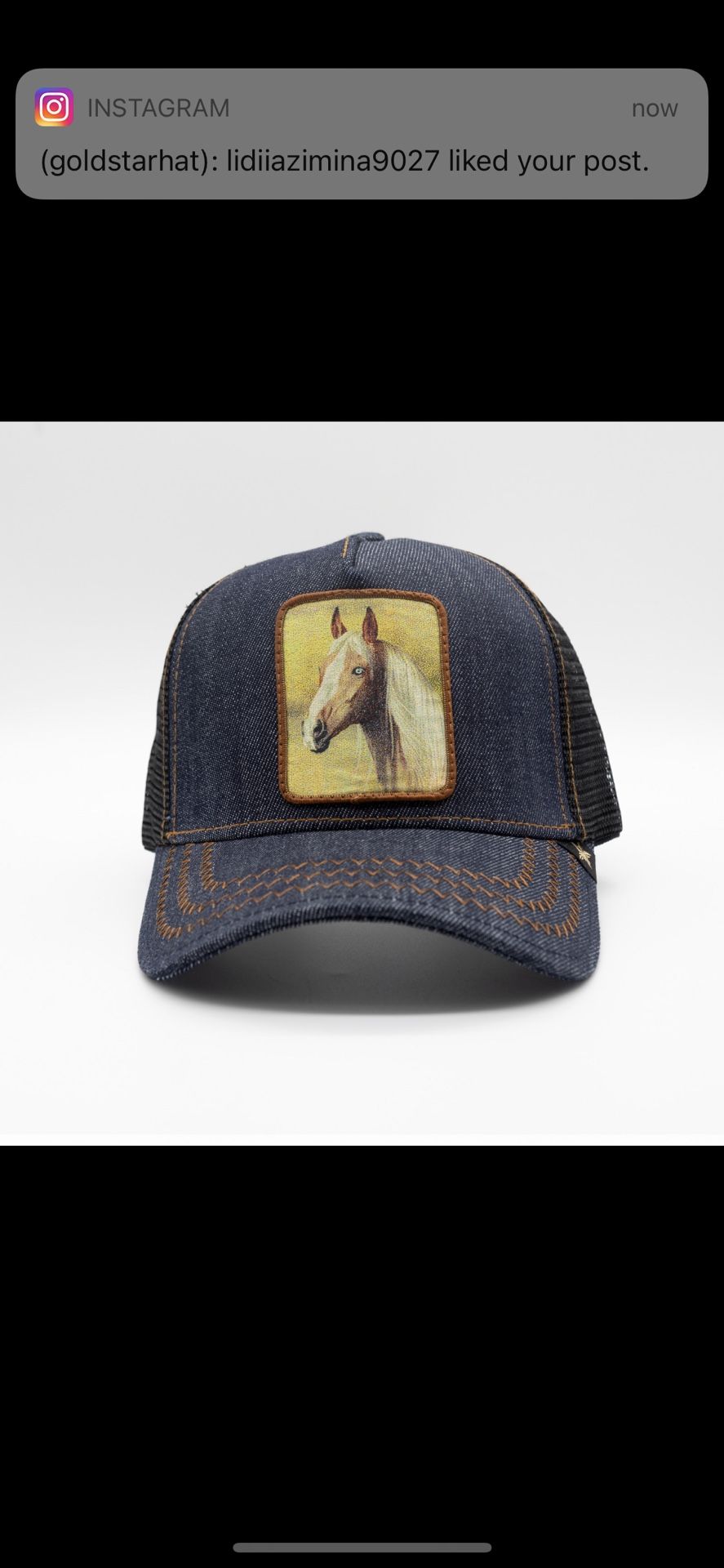 Gold Star Hat Horse