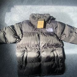 North Face 700 Puffer