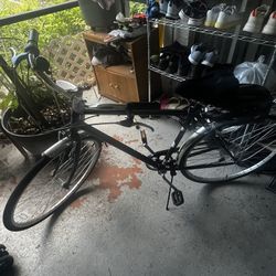 Schwinn Wayfarer Adult Bike 