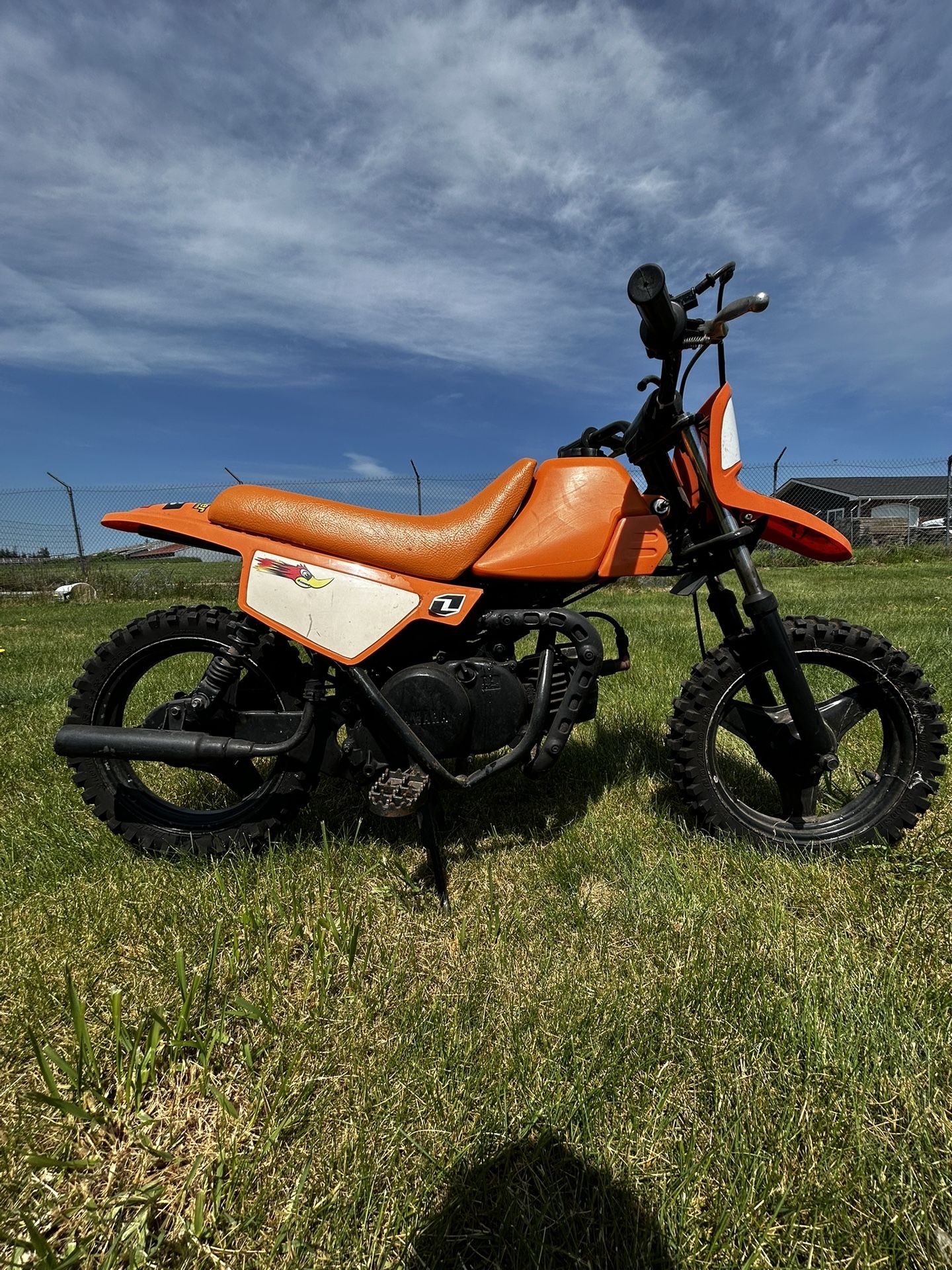 Pw 50